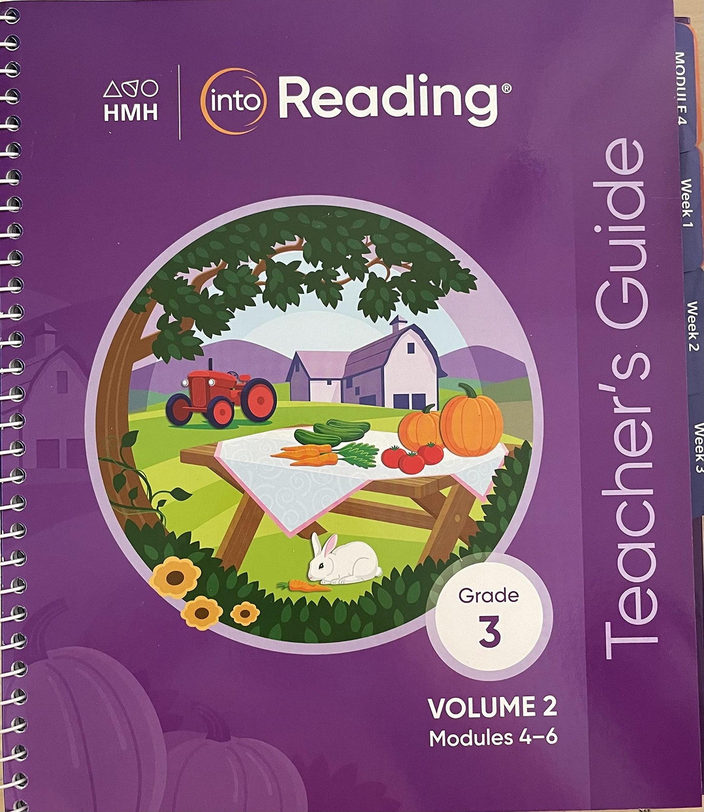 HMH Into Reading, Grade 3, Volume 2, Modules 4-6, Teacher's Guide, c 2020, 9780358461920, 0358461928 — ISBN 9780358461920