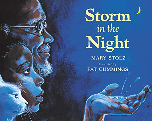 Storm in the Night: A Coretta Scott King Honor Picture Book About Storytelling and Overcoming Fears for Kids (Ages 4-8) — ISBN 9780064432566