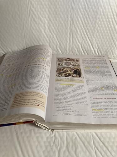 American Pageant, AP Edition Kennedy, David M. and Cohen, Lizabeth