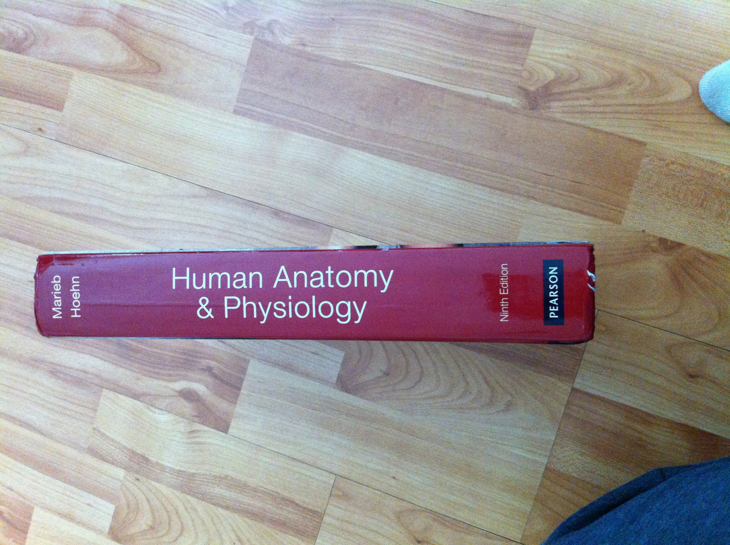 Human Anatomy & Physiology (9th Edition)