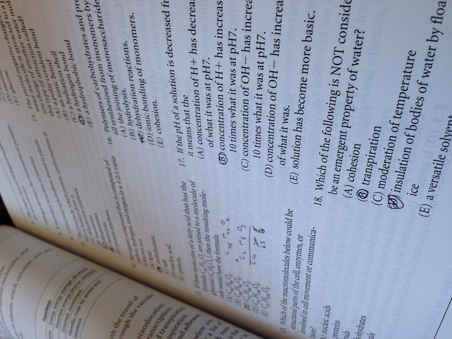 AP Biology (Pearson Education Ap Test Prep) by Fred W. Holtzclaw; Theresa Knapp Holtzclaw