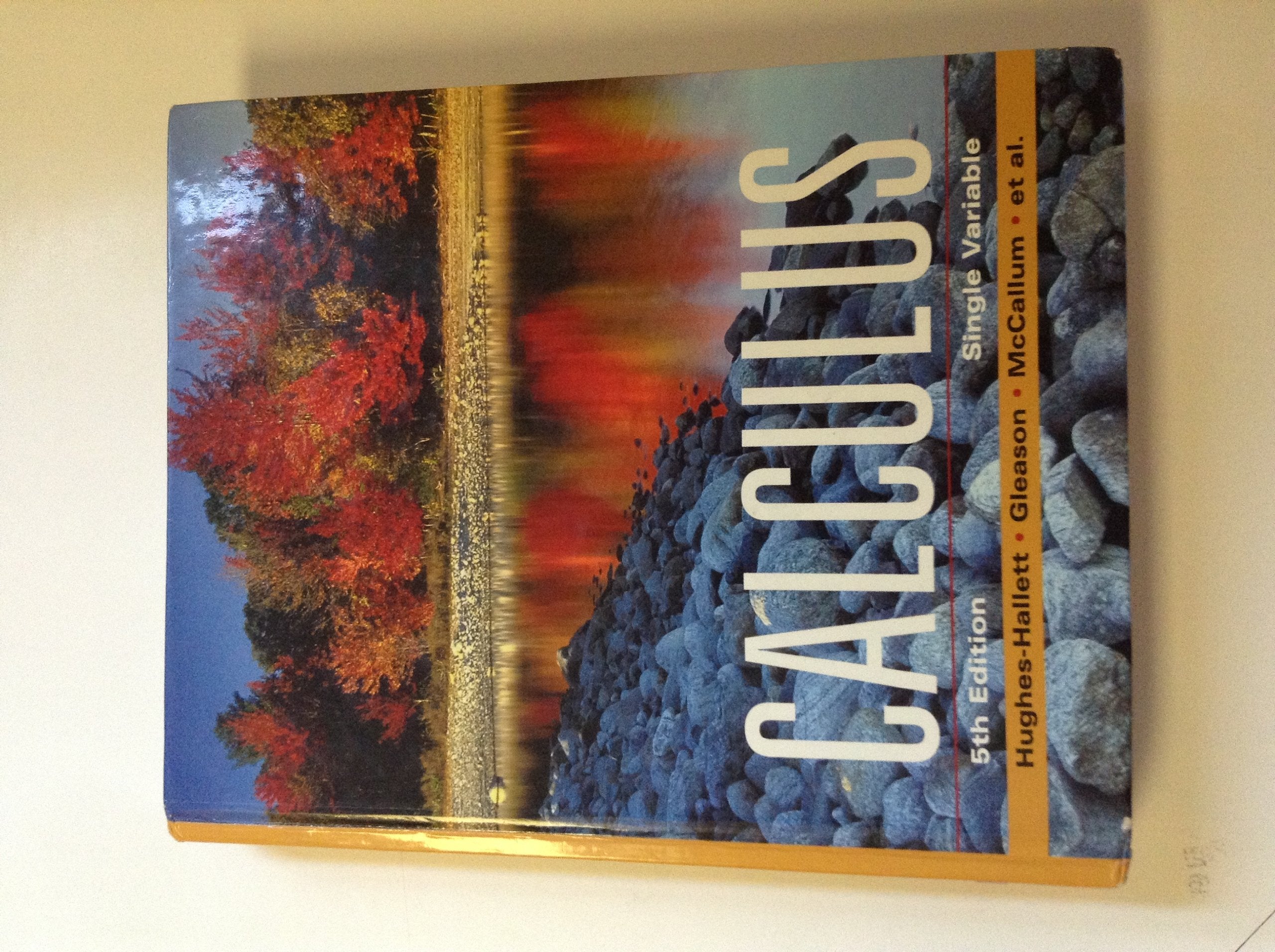 Calculus: Single Variable – Mrs. Nelson's Book Company