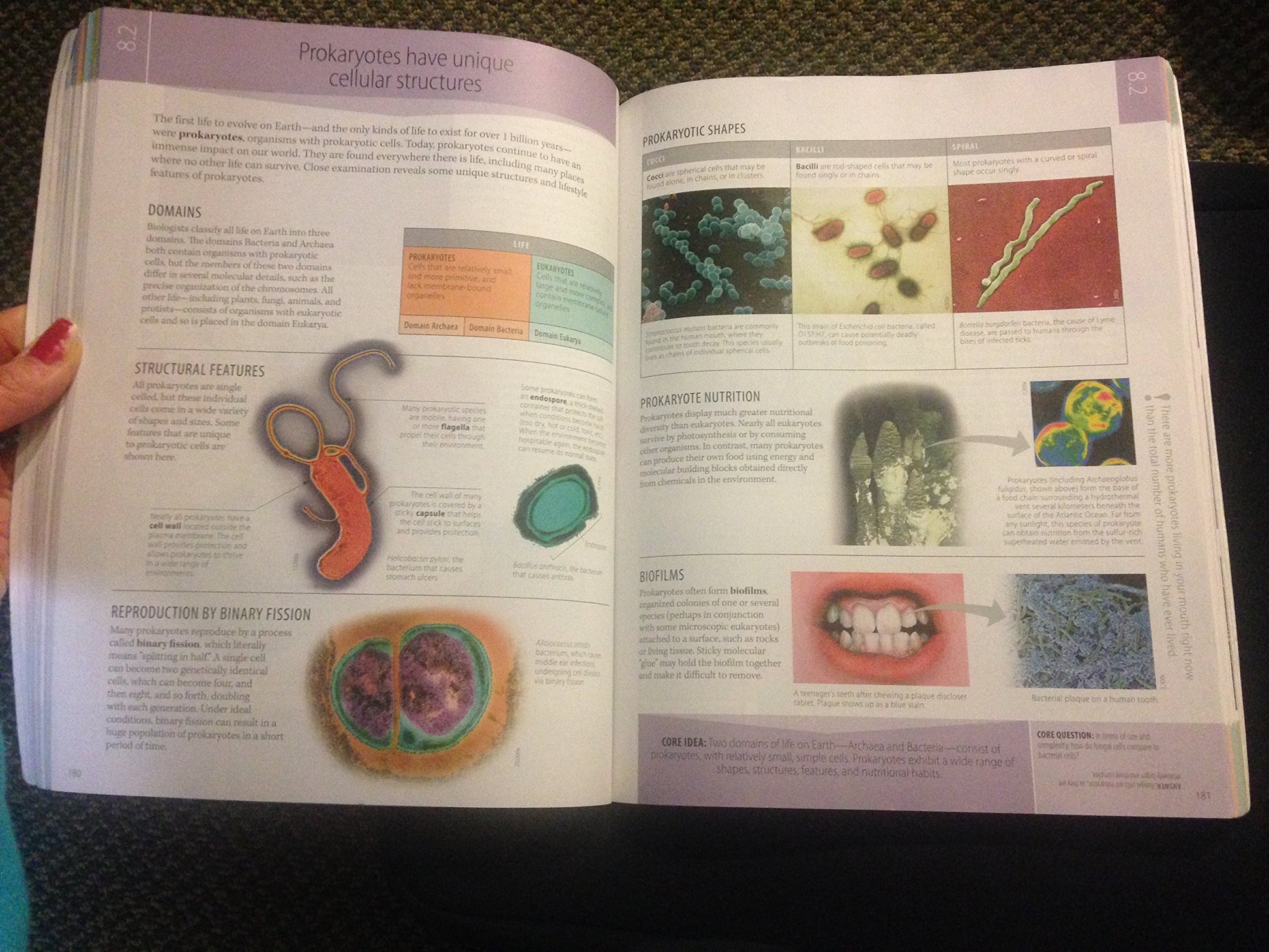 Biology: The Core Simon, Eric J.