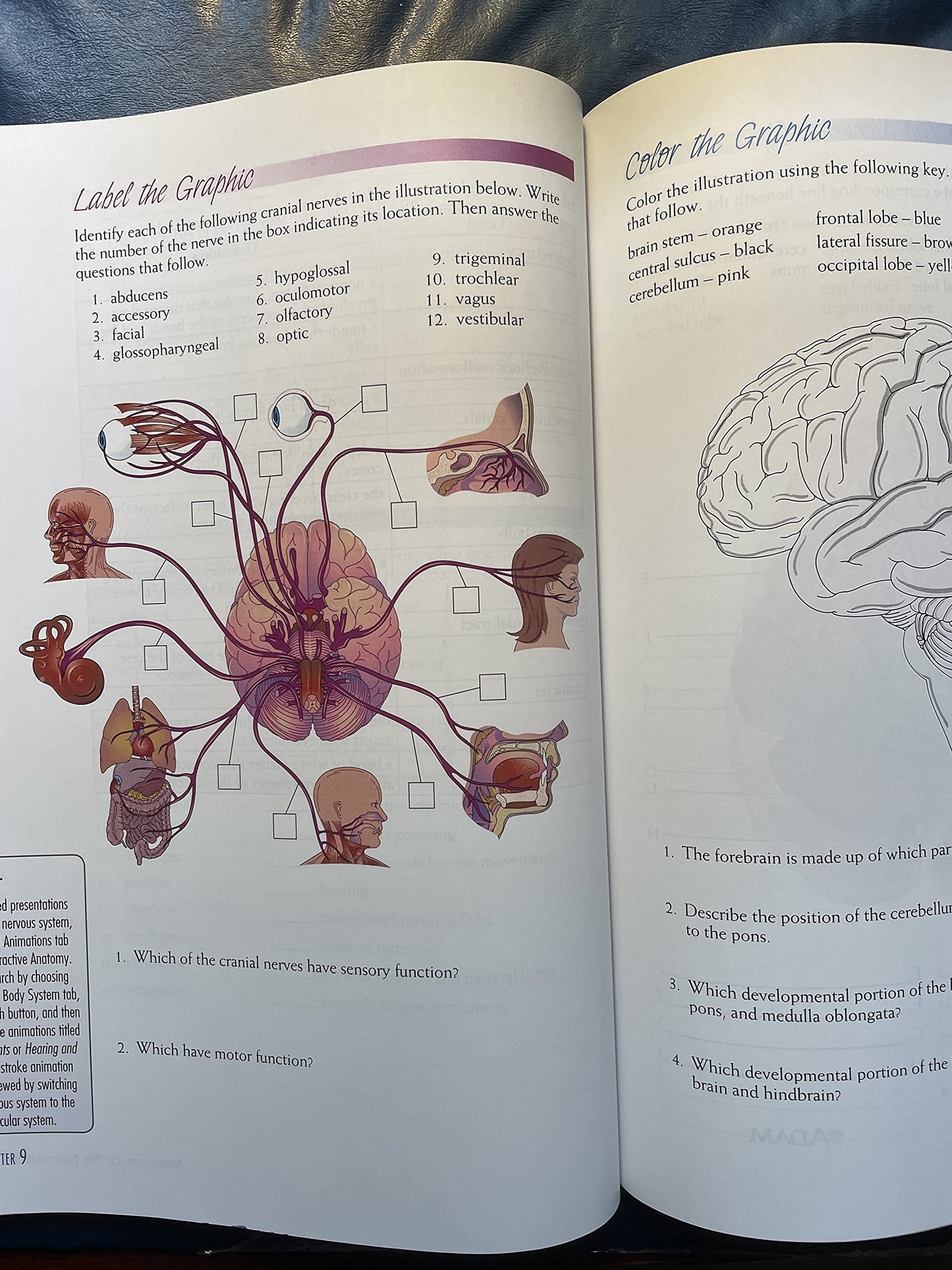 Applied Anatomy & Physiology: Print Workbook and Lab Manual [Paperback] Shmaefsky, Brian R.