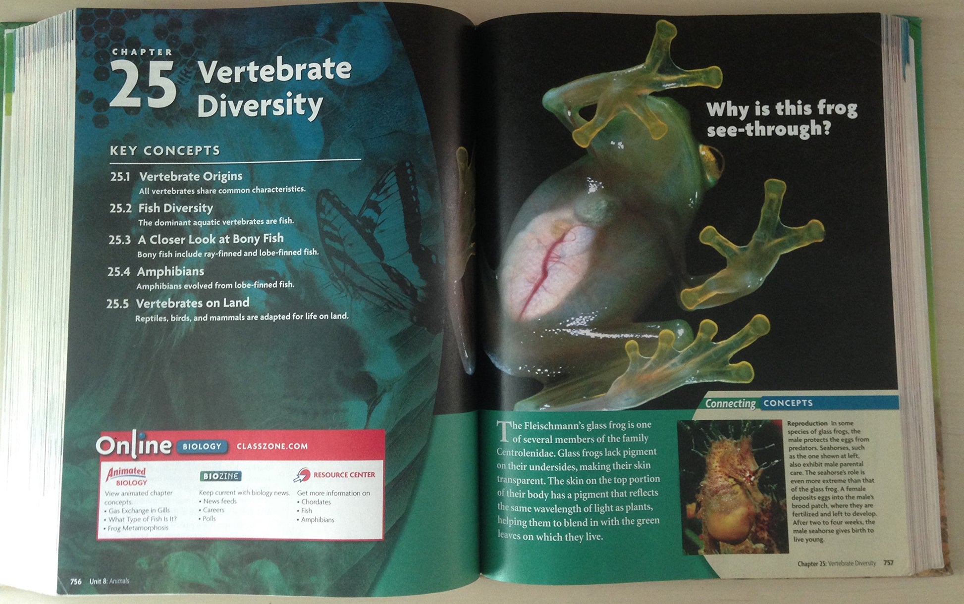 Biology California Student Edition [Hardcover] Nowicki, Stephen