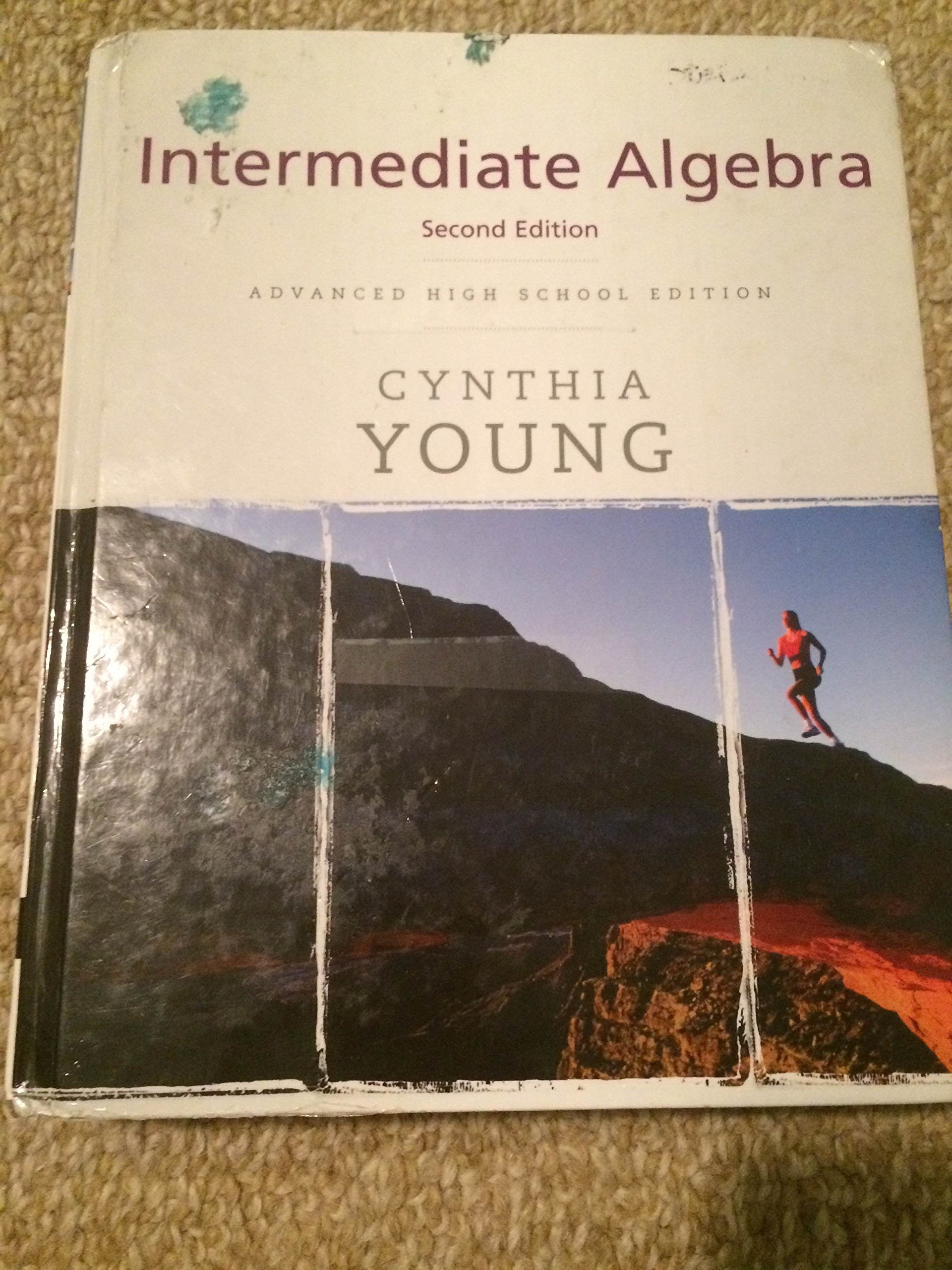 Young Intermediate Algebra [Hardcover] Young, Cynthia Y.