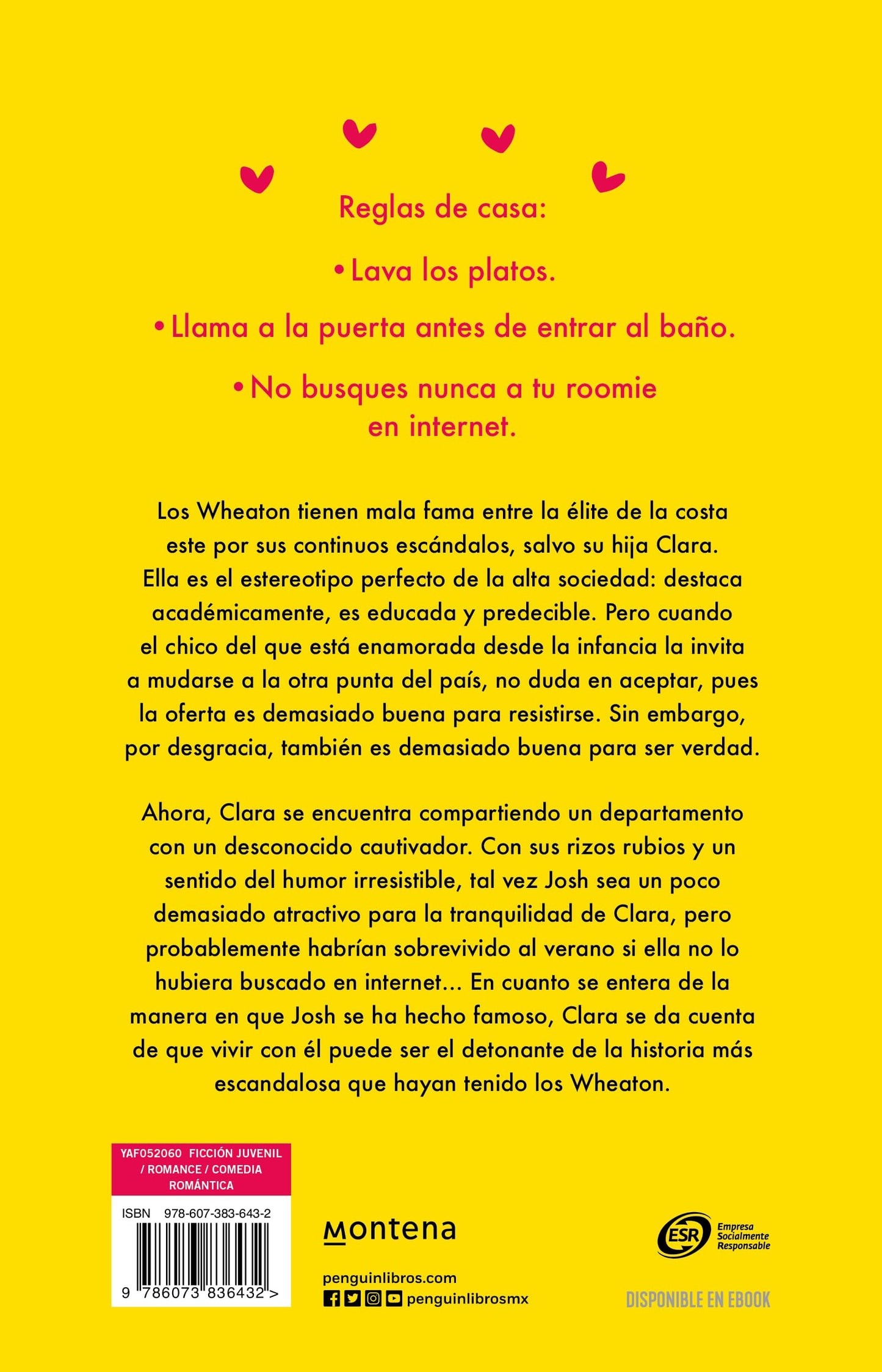 Roomies / The Roomate (THE SHAMELESS SERIES) (Spanish Edition) [Paperback] Danan, Rosie