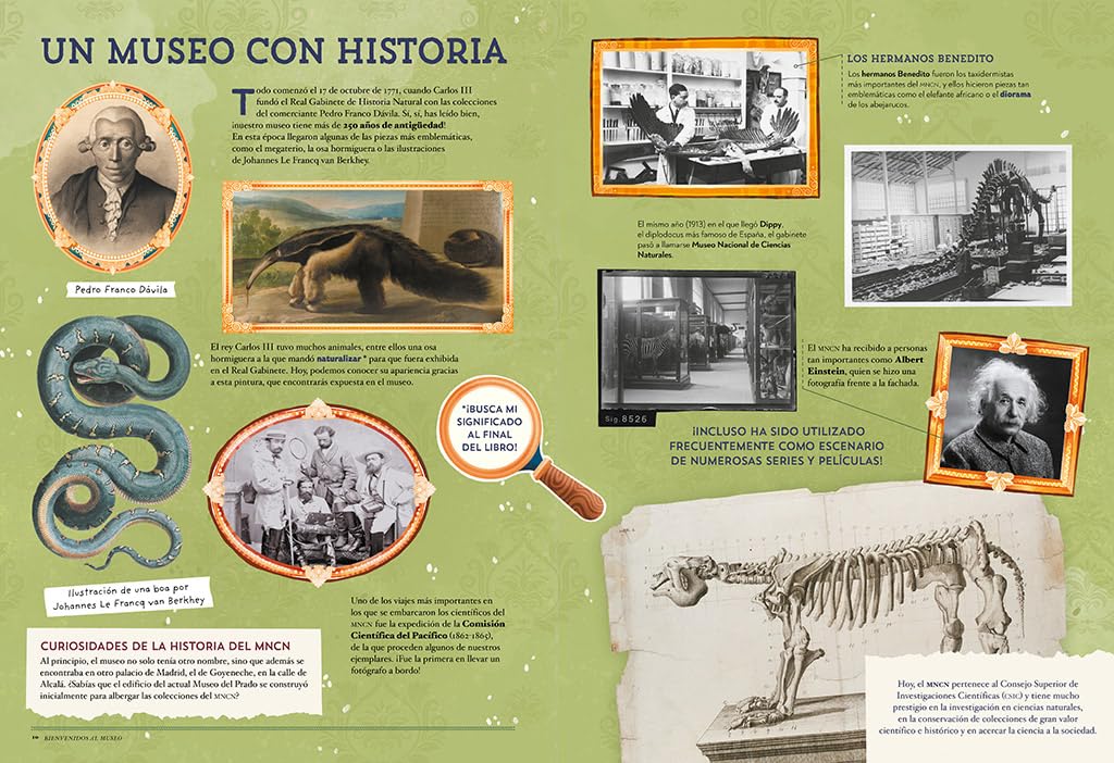 Animales asombrosos. Un recorrido fascinante por la biodiversidad / Amazing Animals: A Fascinating Journey Through Biodiversity (Spanish Edition) [Hardcover] Museo Nacional De Ciencias