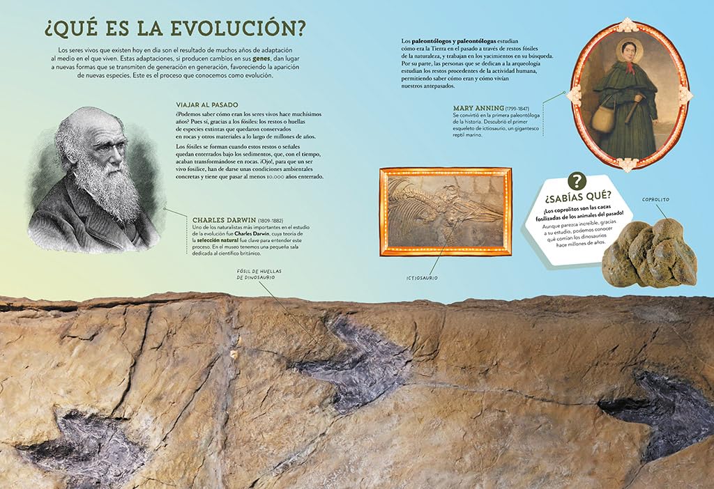 Animales asombrosos. Un recorrido fascinante por la biodiversidad / Amazing Animals: A Fascinating Journey Through Biodiversity (Spanish Edition) [Hardcover] Museo Nacional De Ciencias