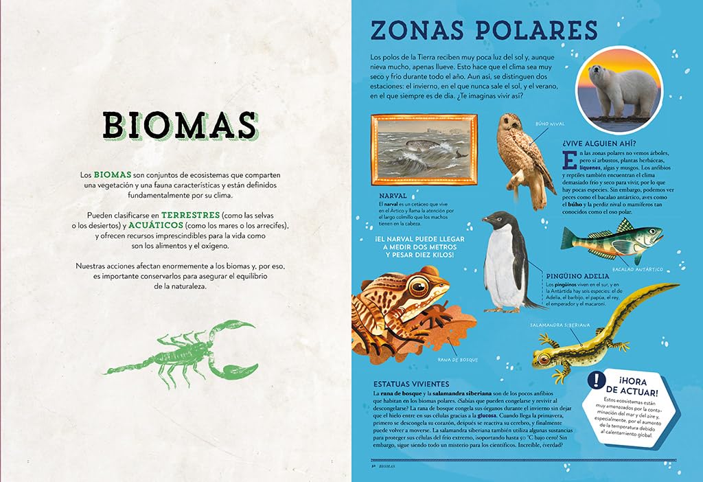 Animales asombrosos. Un recorrido fascinante por la biodiversidad / Amazing Animals: A Fascinating Journey Through Biodiversity (Spanish Edition) [Hardcover] Museo Nacional De Ciencias