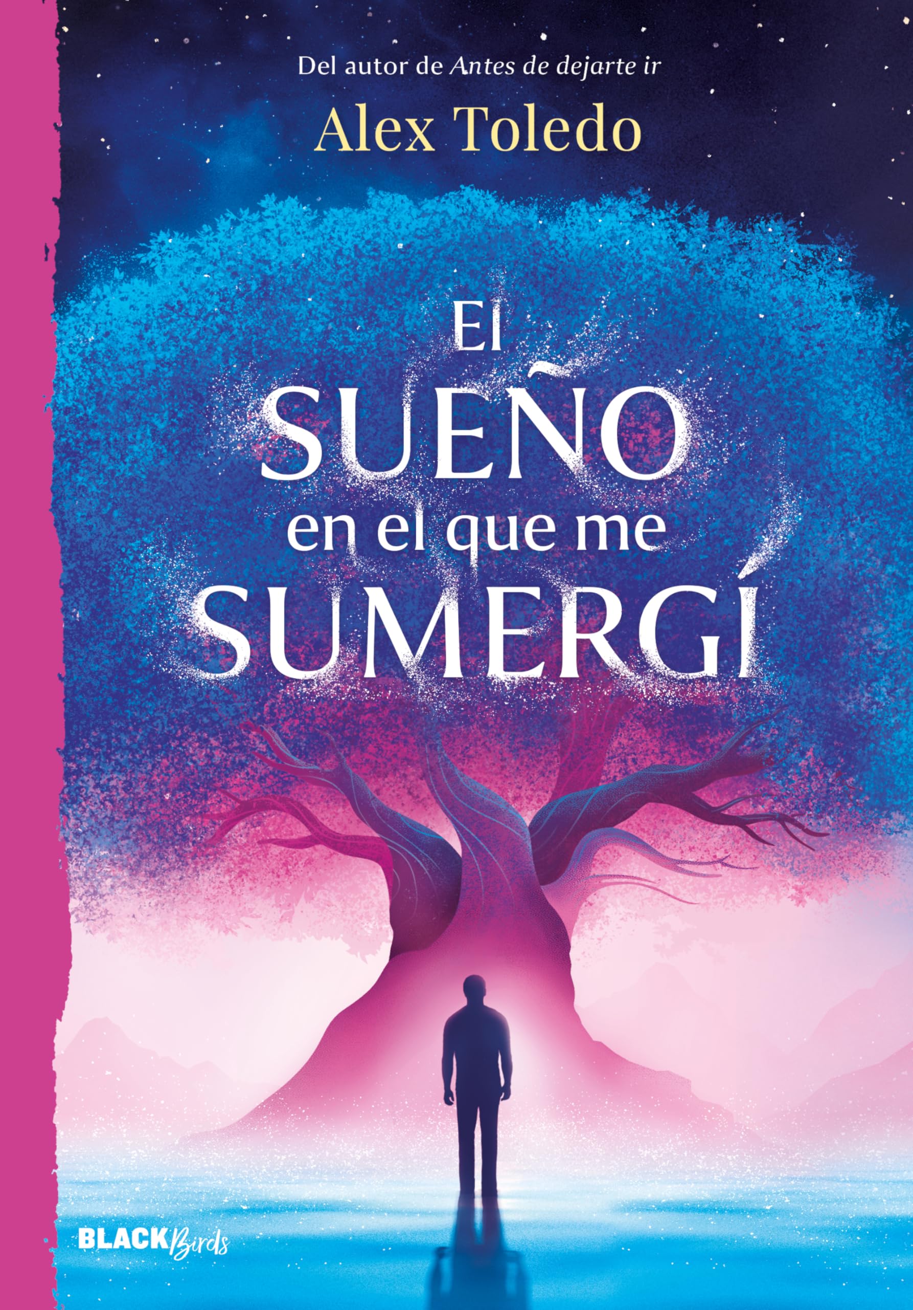 El sueño en el que me sumergí / The Dream I Was Immersed in (Spanish Edition) [Paperback] Toledo, Alex