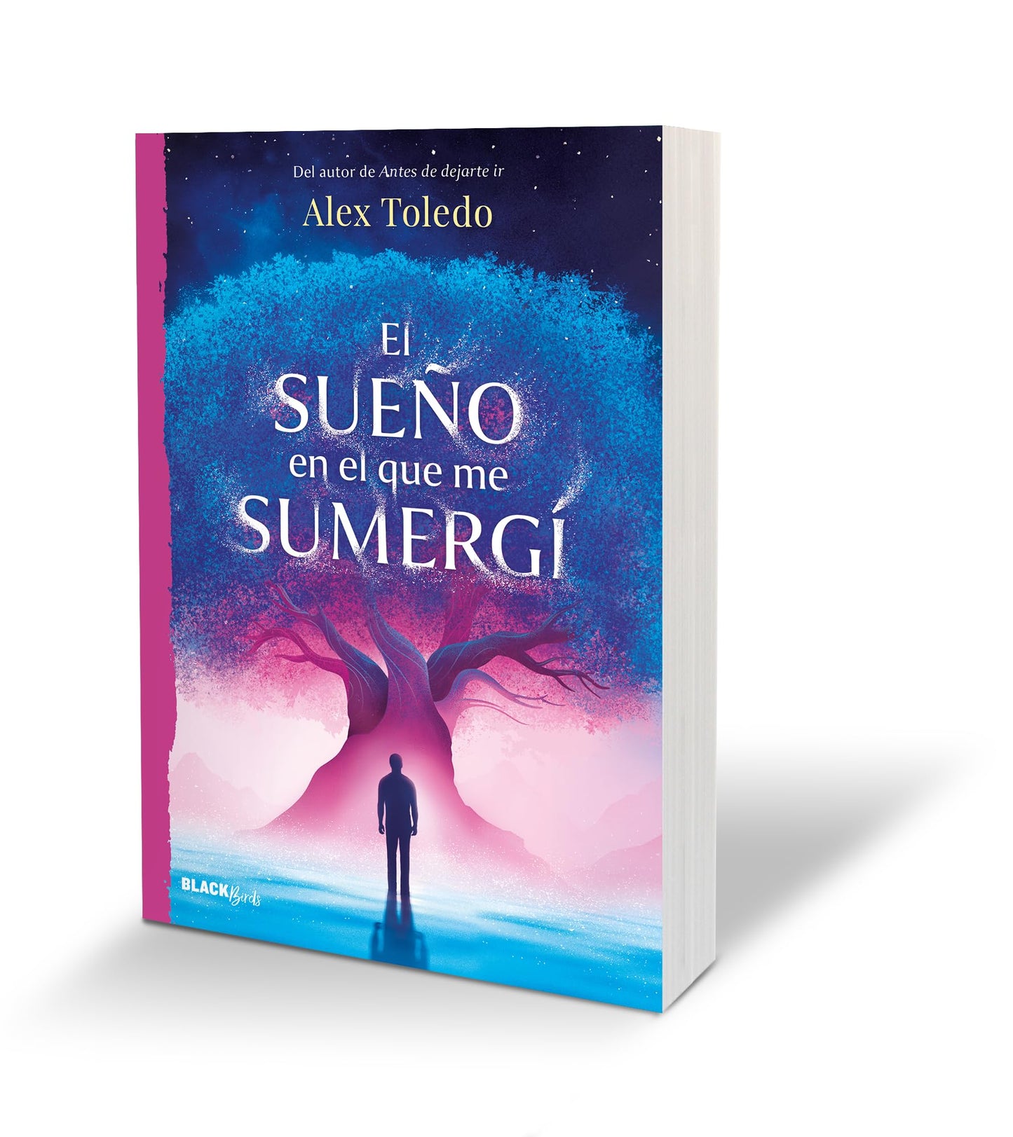 El sueño en el que me sumergí / The Dream I Was Immersed in (Spanish Edition) [Paperback] Toledo, Alex