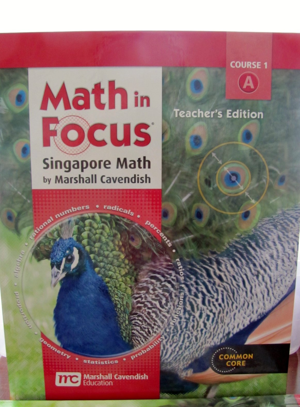 Math in Focus: Singapore Math: Teacher Edition, Volume a Grade 6 2012 Holt Mcdougal