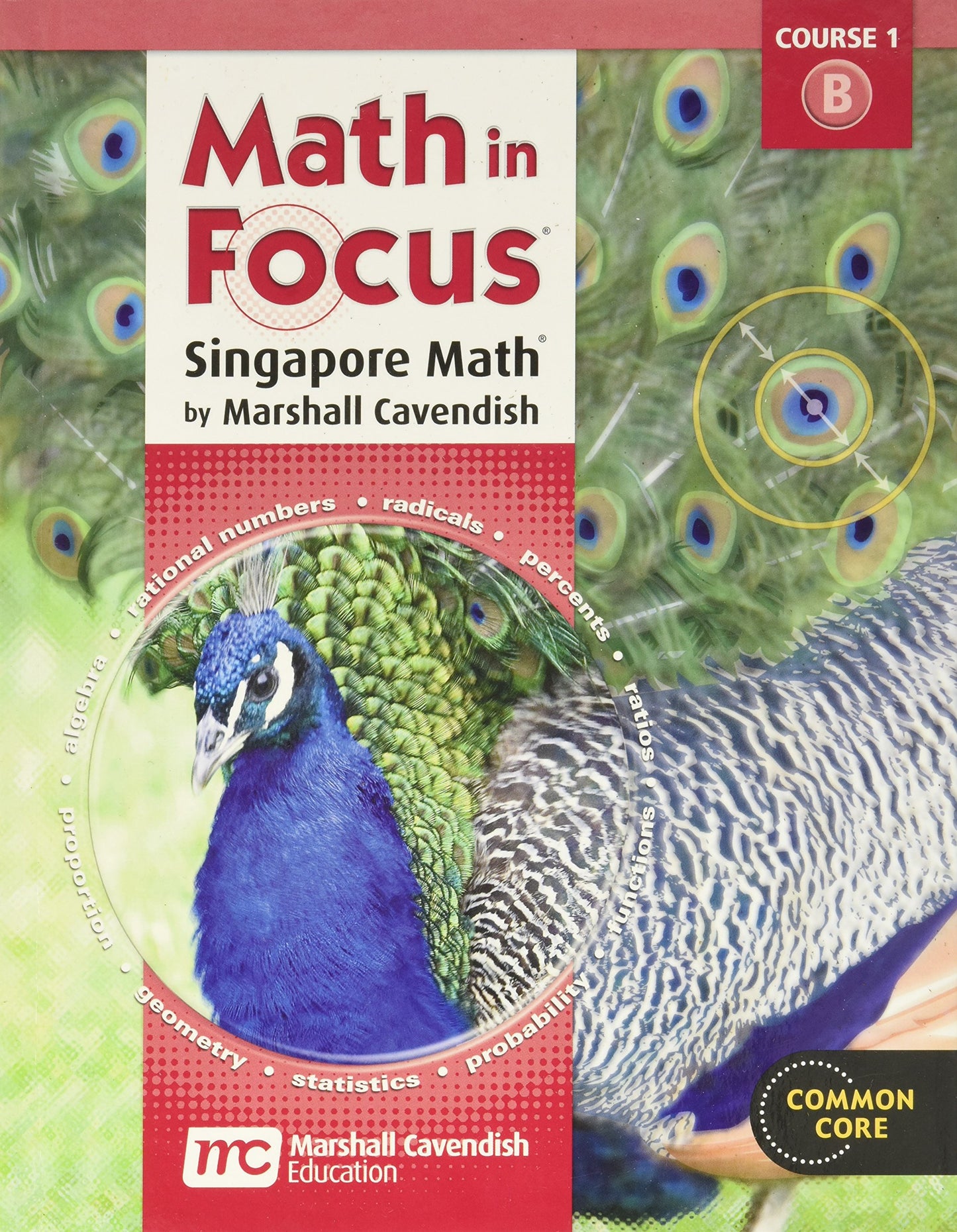 Student Edition 2012: Volume B (Math in Focus: Singapore Math) [Hardcover] Houghton Mifflin Harcourt