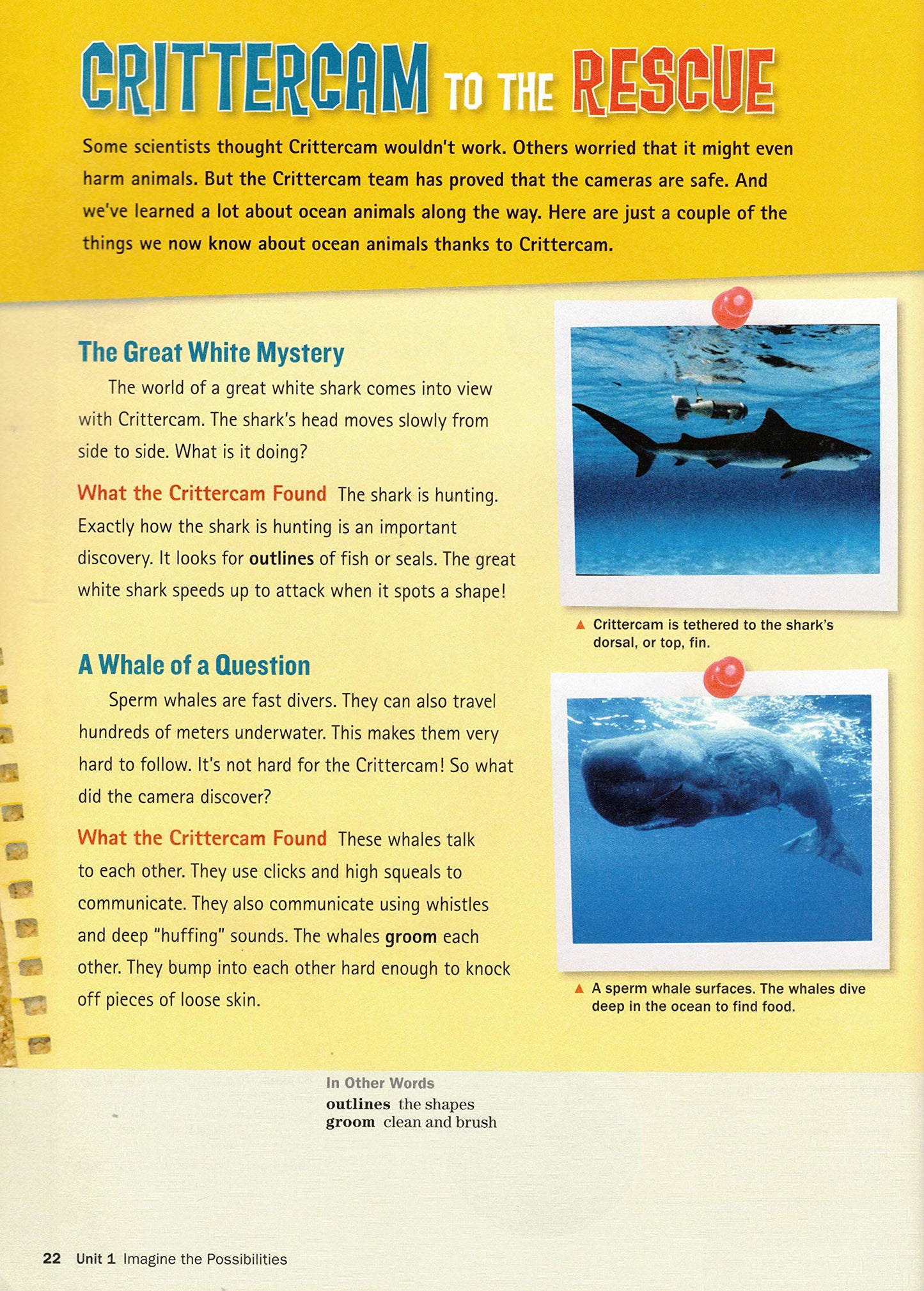 Inside D: Reading & Language Student Book (Inside, Legacy) Moore, David W; Short, Deborah J; Tatum, Alfred W; Tinajero, Josefina Villamil and Bernabei, Gretchen
