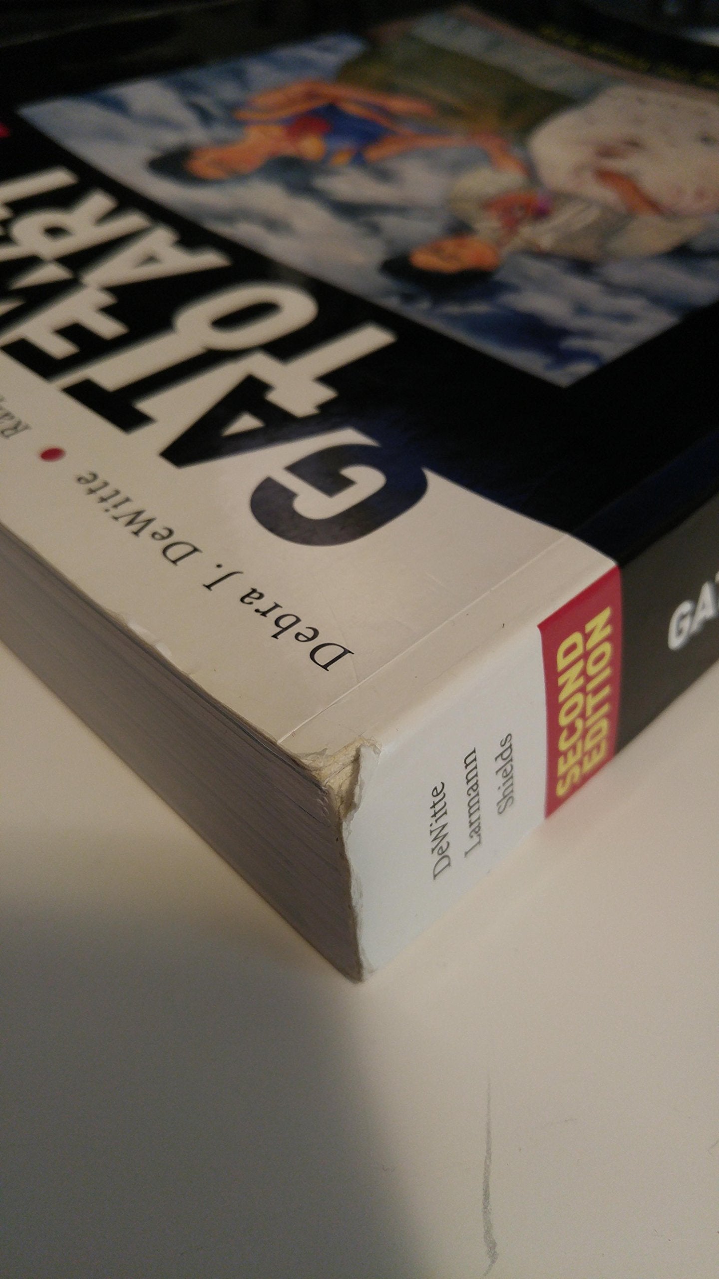 Gateways to Art: Understanding the Visual Arts [Paperback] De Witte, Debra J.; Larmann, Ralph M. and Shields, M. Kathryn