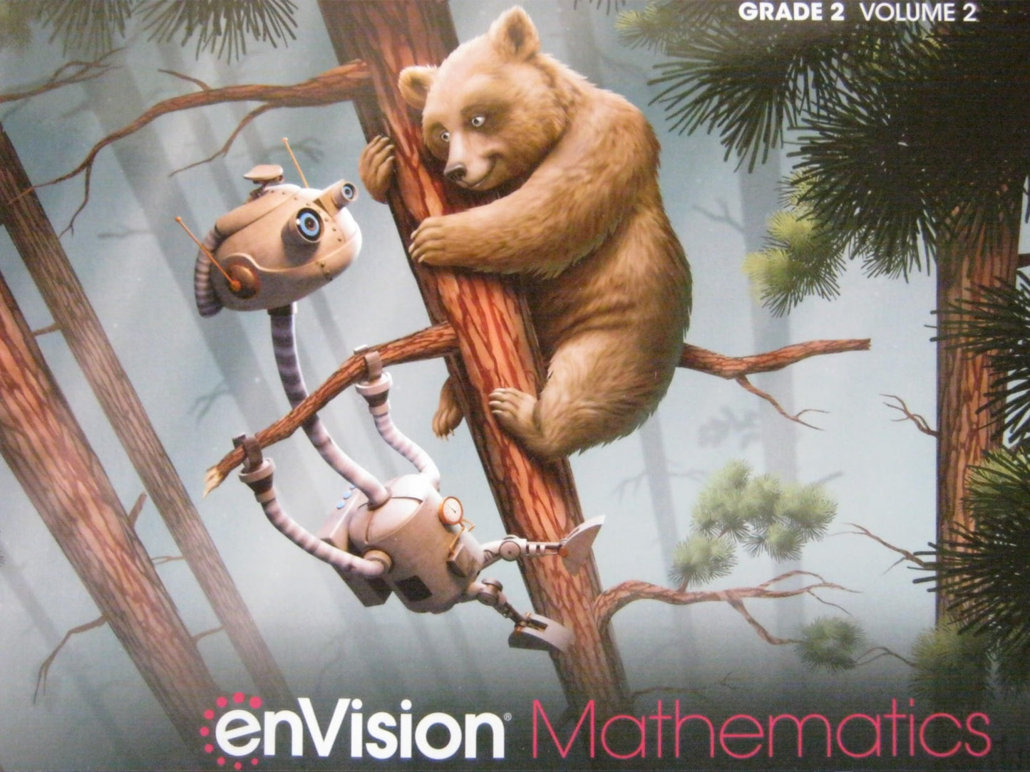 ENVISION MATHEMATICS 2020 NATIONAL STUDENT EDITION GRADE 2 VOLUME 2 [Paperback] Scott Foresman