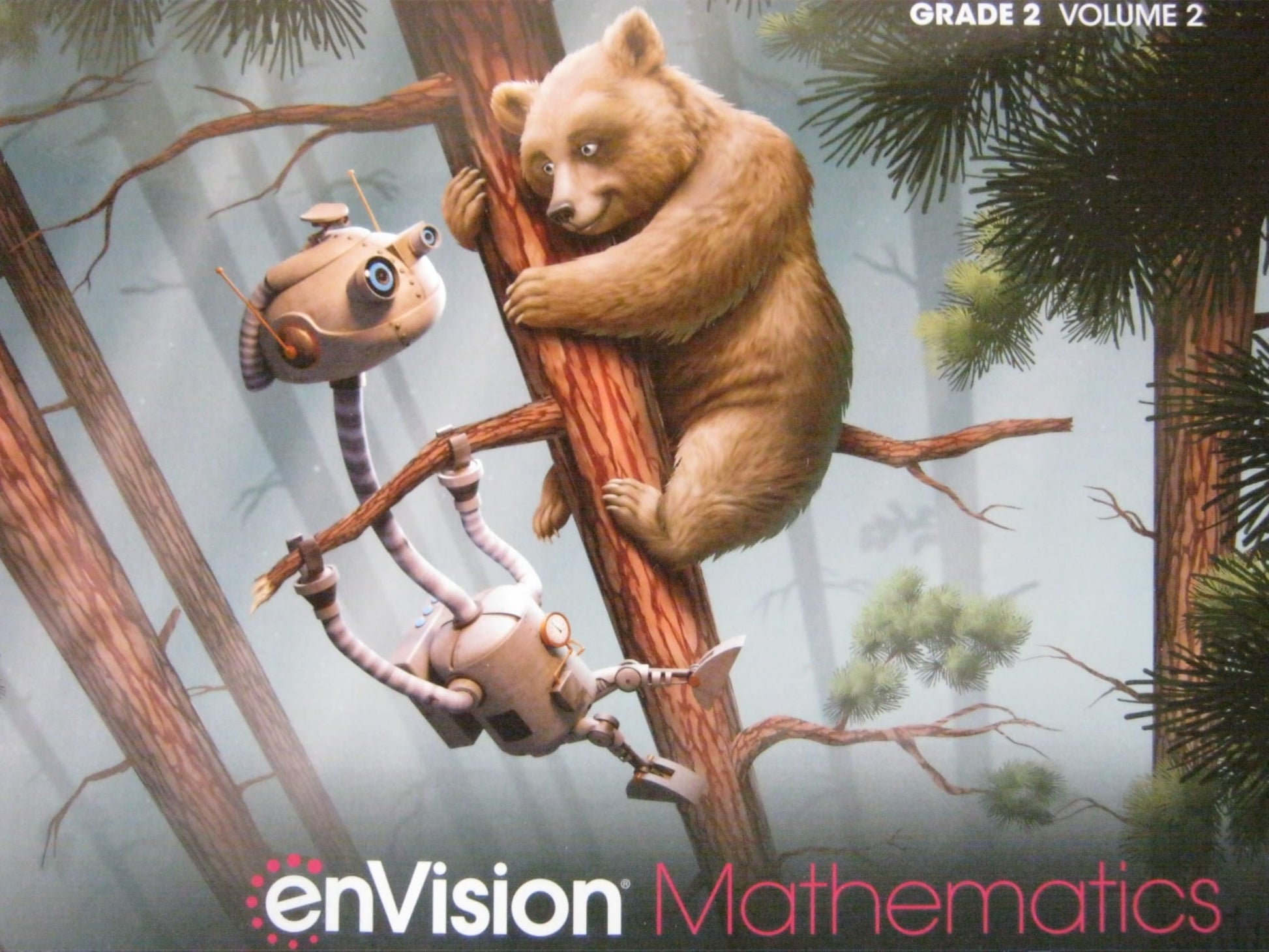 ENVISION MATHEMATICS 2020 NATIONAL STUDENT EDITION GRADE 2 VOLUME 2 [Paperback] Scott Foresman