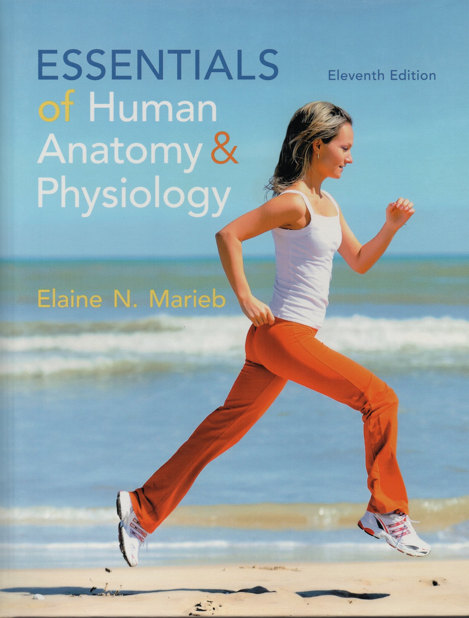 Essentials of Human Anatomy & Physiology [Hardcover] Elaine N. Marieb