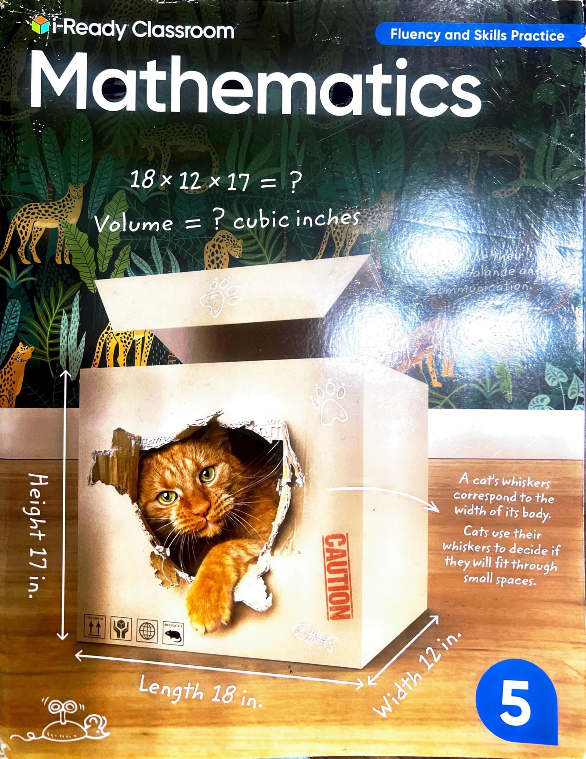 i-Ready Classroom, Mathematics ,Grade 5, Fluency and Skills Practice [Paperback] LLC Curriculum Associates