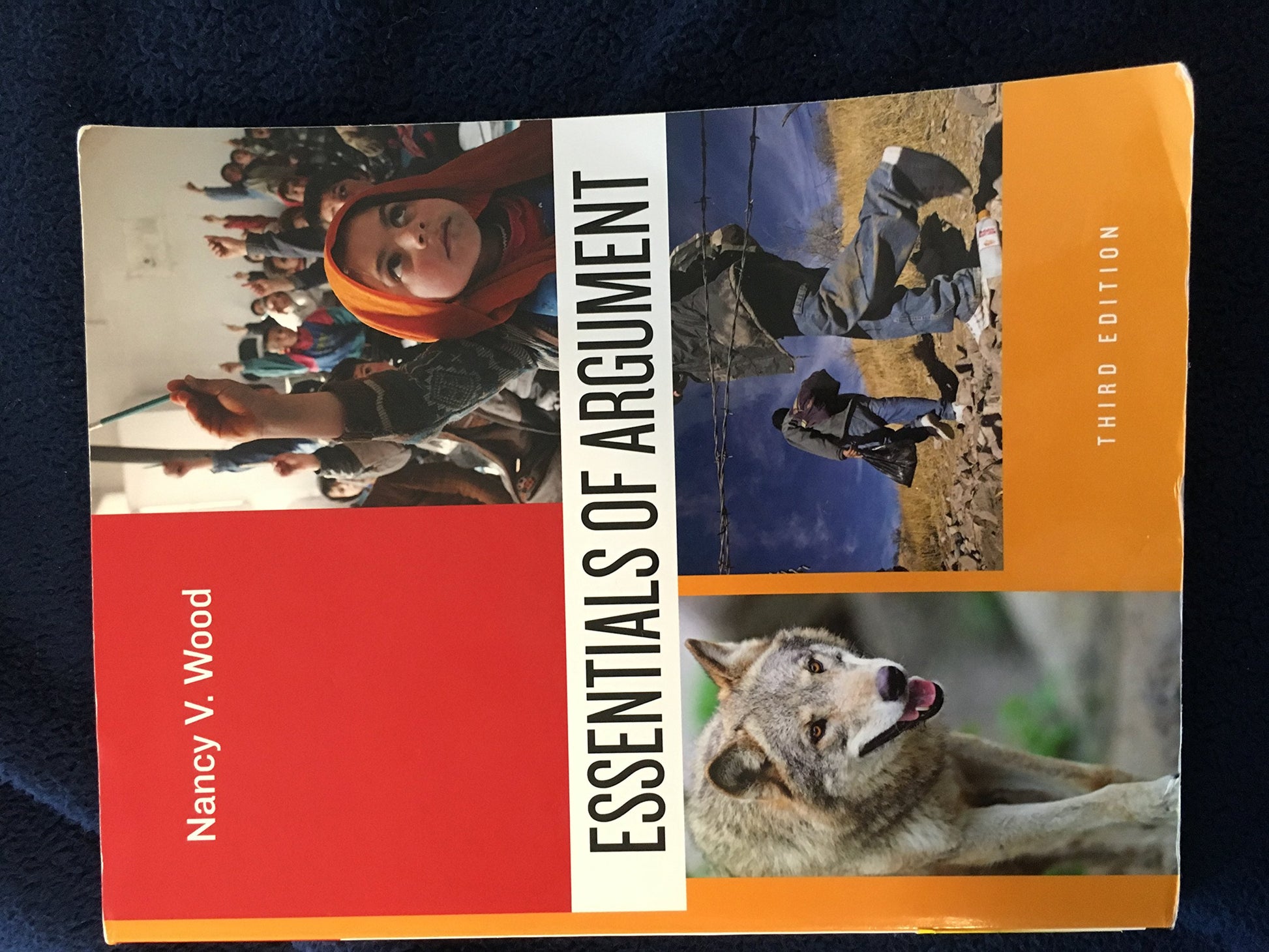 Essentials of Argument [Paperback] Wood, Nancy
