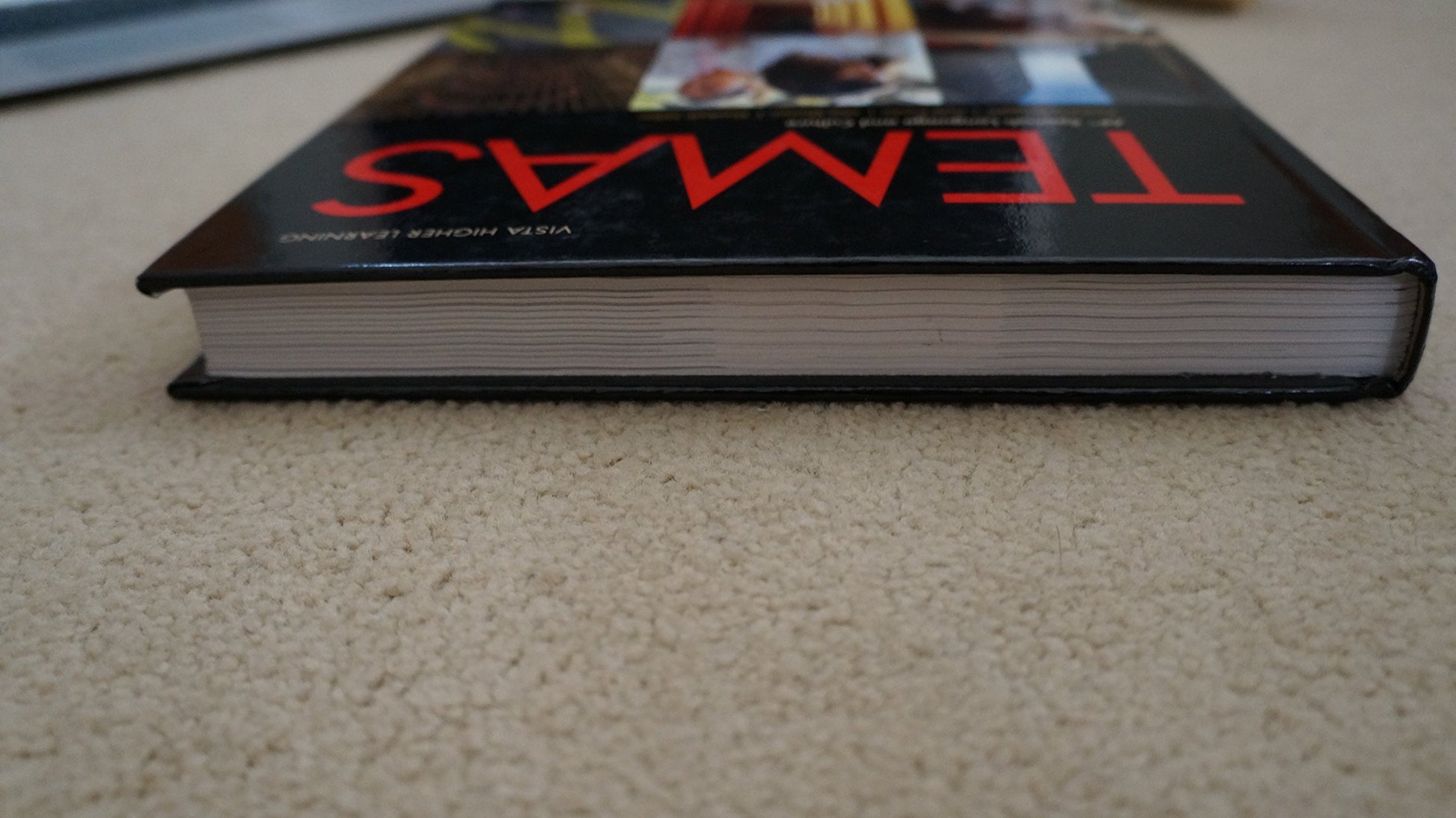Temas AP Spanish Language VHL