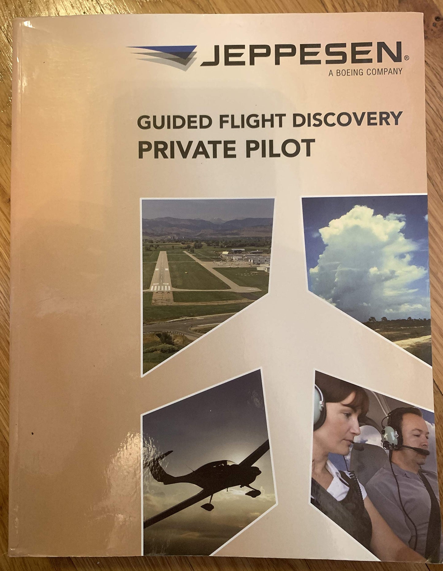 GFD Private Pilot Textbook [Paperback] unknown