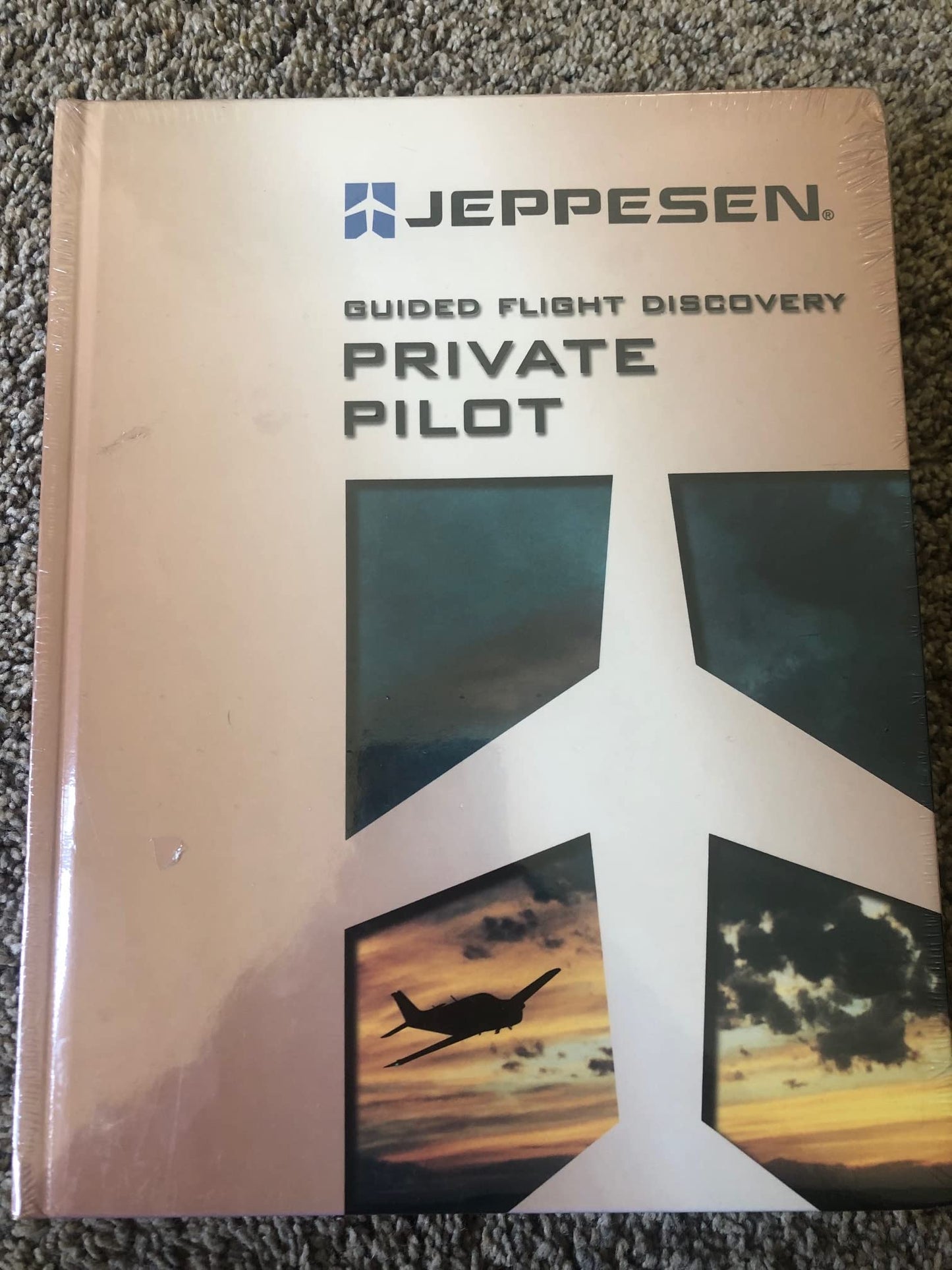 Private Pilot Guided Flight Discovery [Hardcover] willits