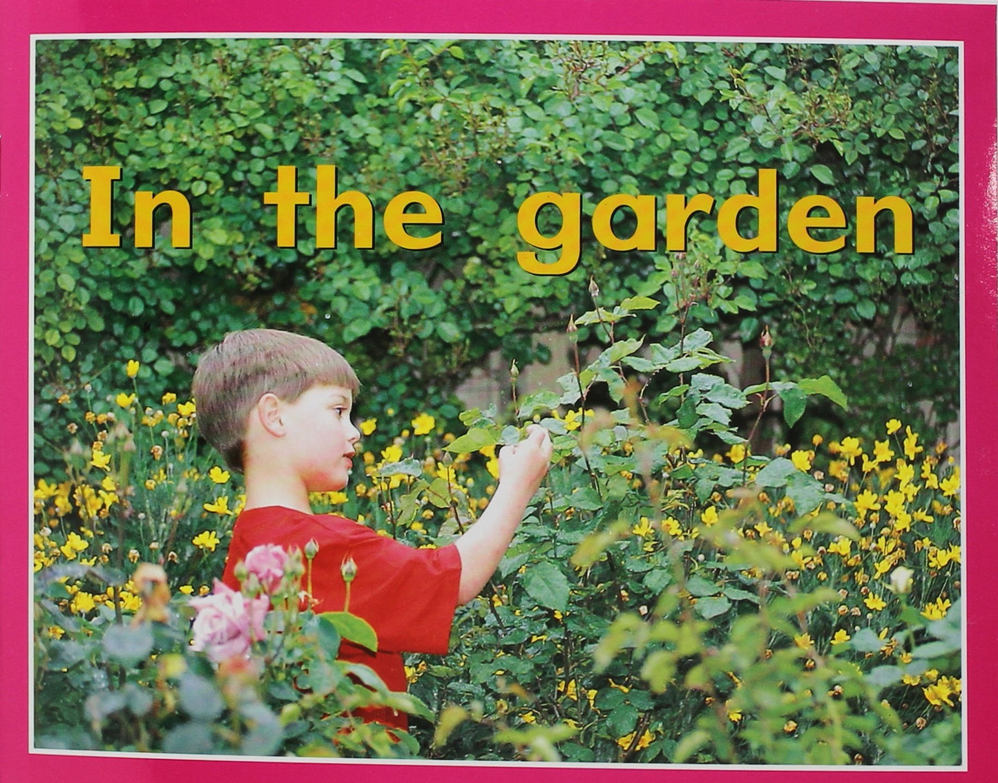In The Garden: Individual Student Edition Magenta (Level 1)