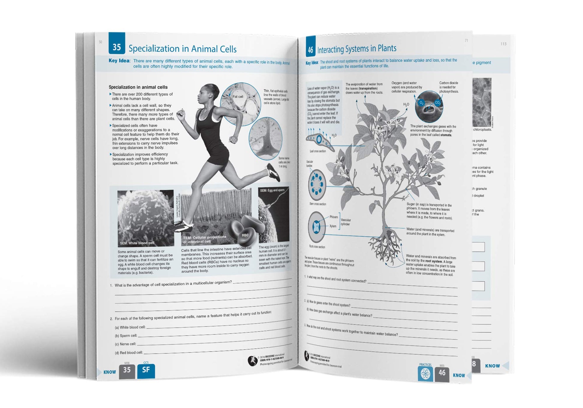 BIOZONE Biology for NGSS (2nd Ed) Student Workbook