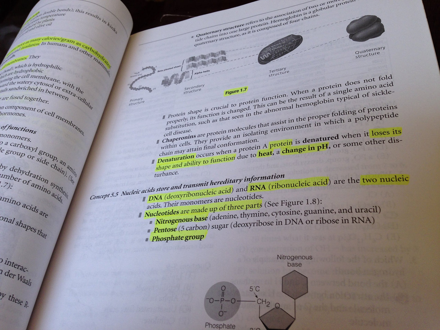 AP Biology (Pearson Education Ap Test Prep) by Fred W. Holtzclaw; Theresa Knapp Holtzclaw