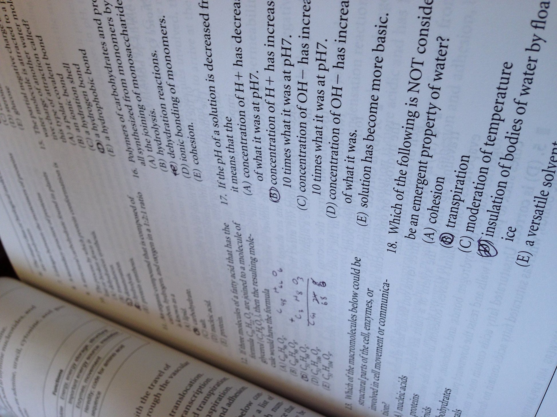 AP Biology (Pearson Education Ap Test Prep) by Fred W. Holtzclaw; Theresa Knapp Holtzclaw