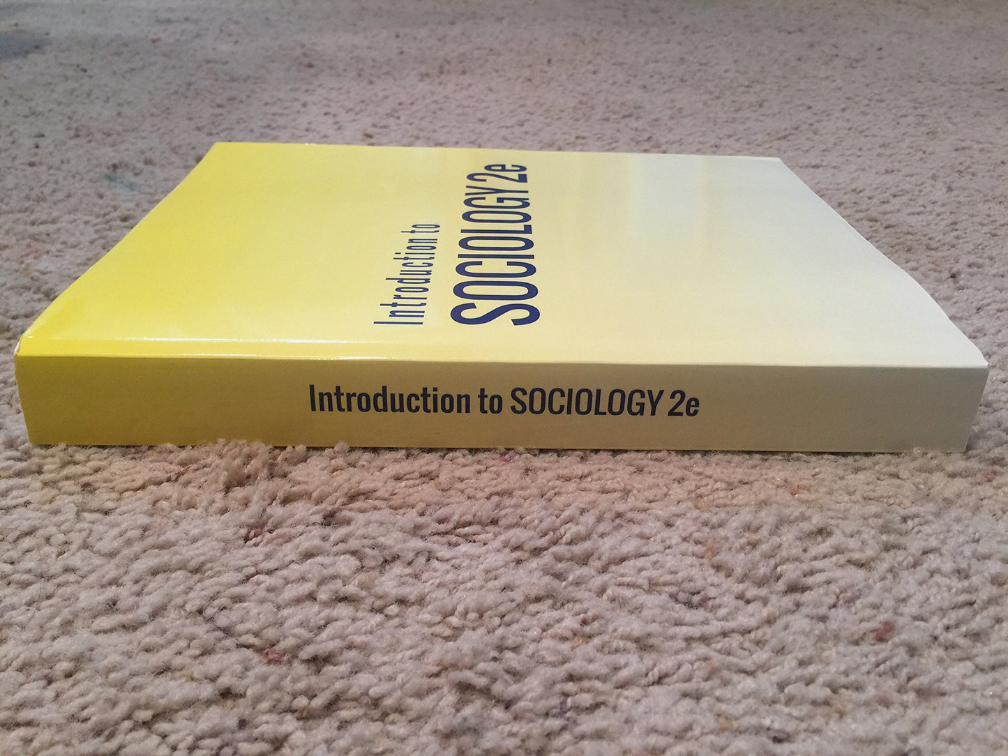 Introduction to Sociology 2e by OpenStax (Official Print Version, hardcover, full color)