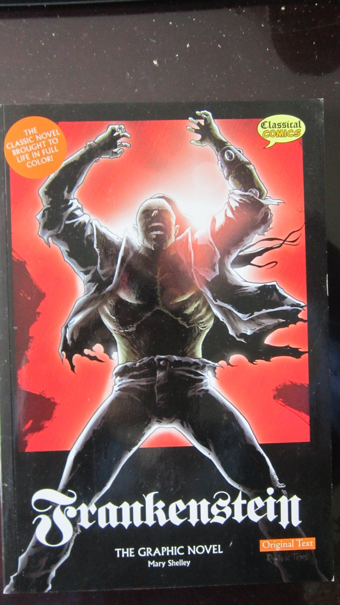Frankenstein The Graphic Novel: Original Text (Classical Comics)
