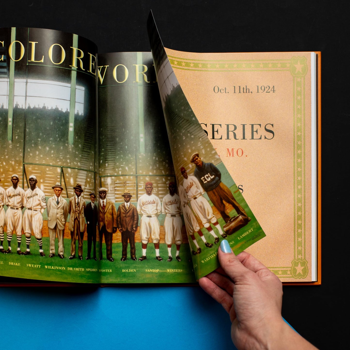 We Are the Ship: The Story of Negro League Baseball [Hardcover] Kadir Nelson