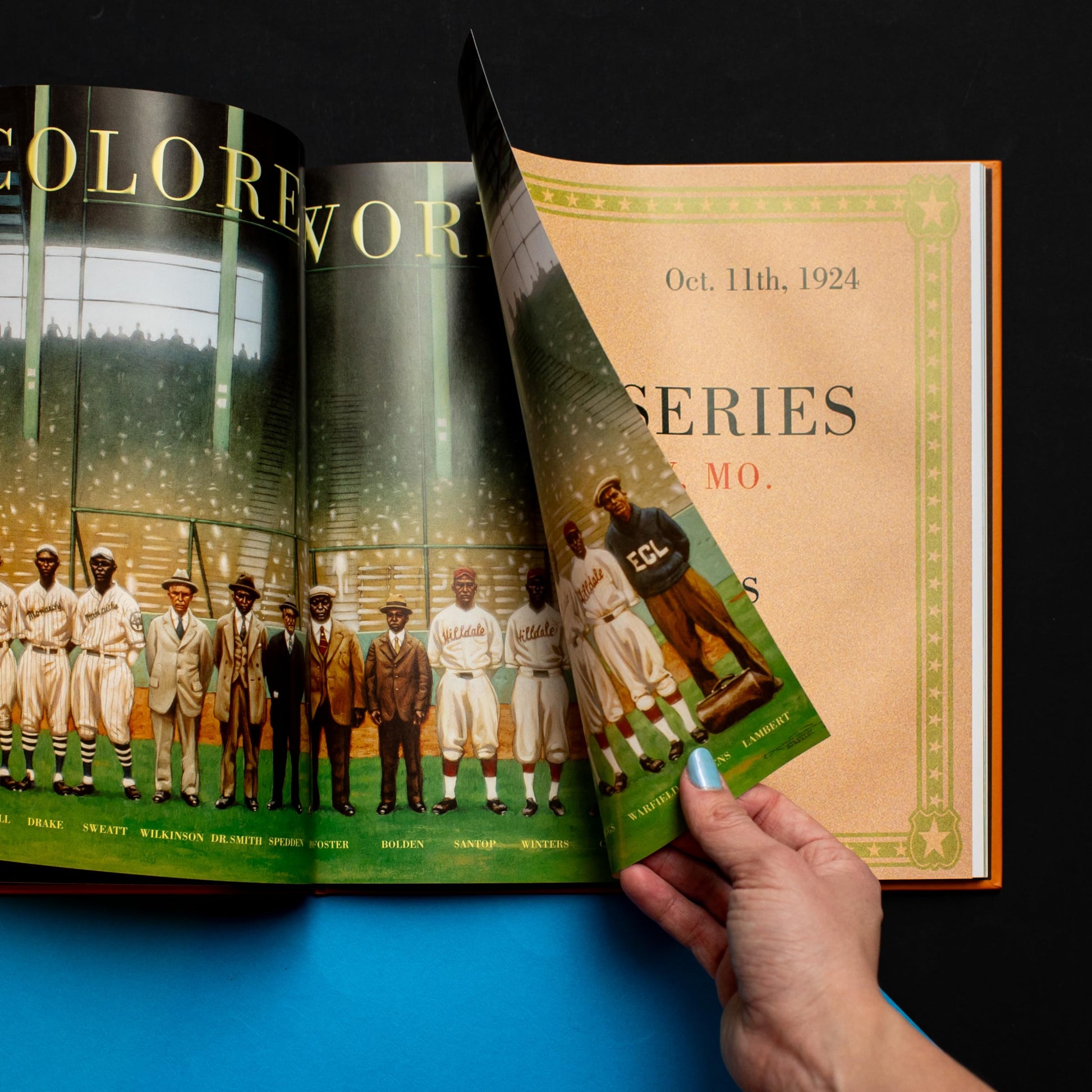 We Are the Ship: The Story of Negro League Baseball [Hardcover] Kadir Nelson