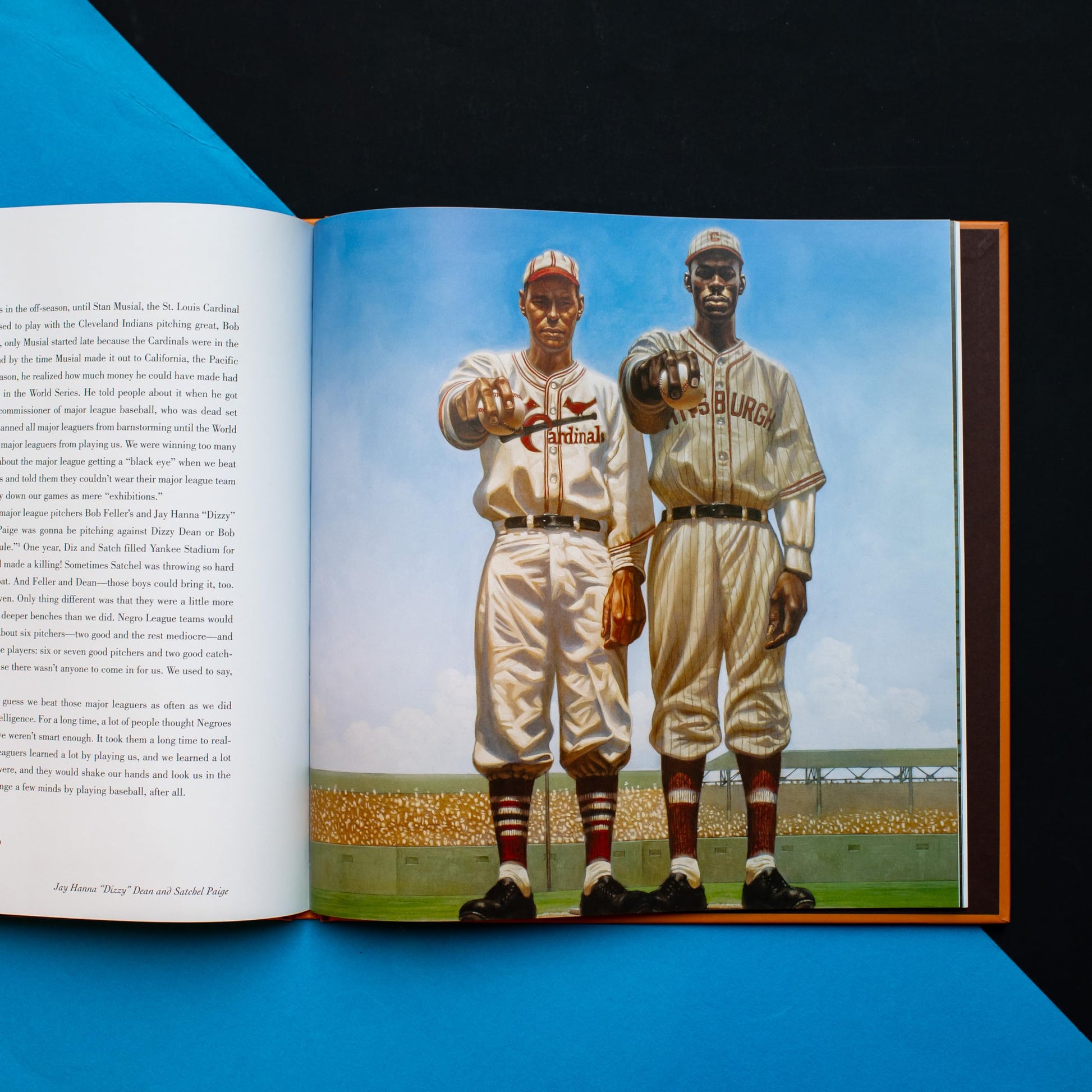 We Are the Ship: The Story of Negro League Baseball [Hardcover] Kadir Nelson