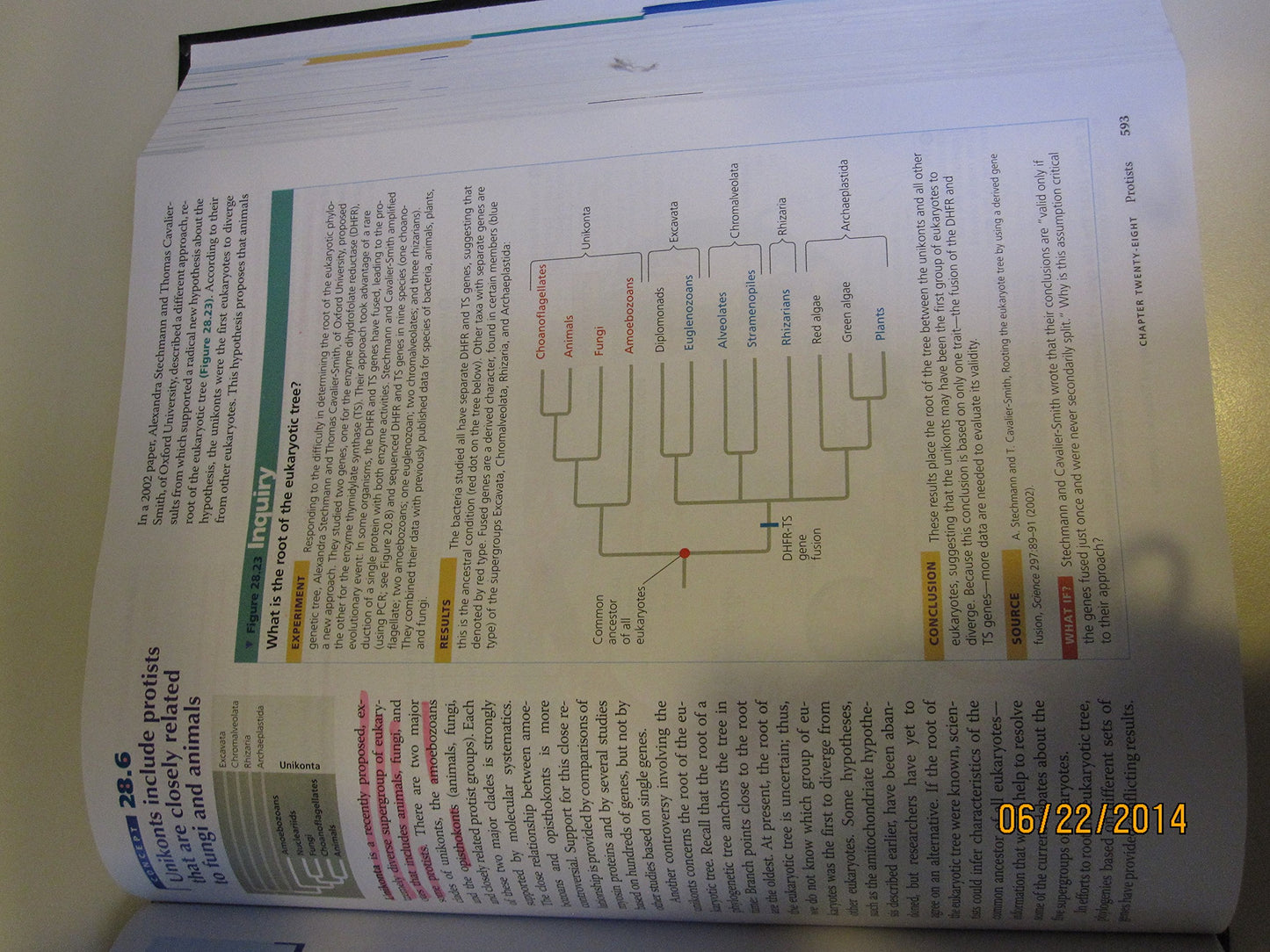 Biology: NASTA Edition [Hardcover] Neil A. Campbell and Jane B. Reece